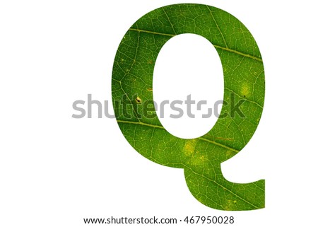 The letter "Q" with green leaf texture inside