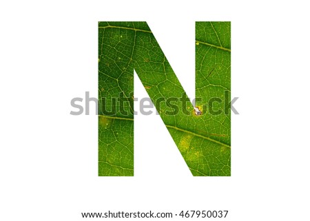 The letter "N" with green leaf texture inside