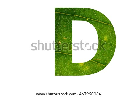 The letter "D" with green leaf texture inside