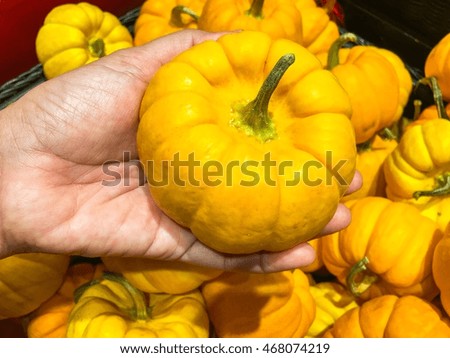 Female's hand pick up pumpkin in market.