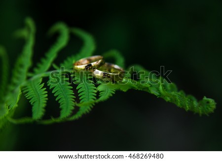 wedding rings on a fern