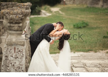 Happy wedding couple hugging and kissing on background old castle