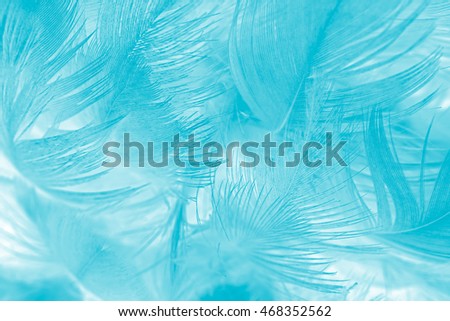 green turquoise vintage color trends chicken feather texture background