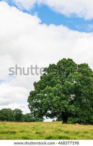 Green Landscape in the Park with Blue Sky and Fluffy White Clouds during Summer. England, Uk