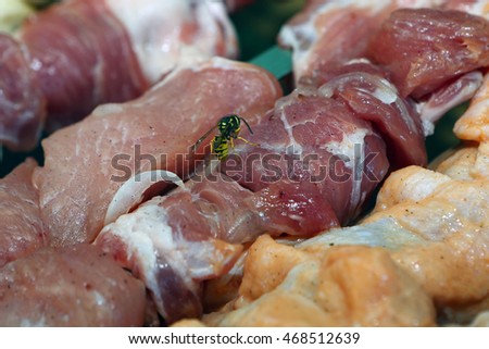 Wasp sitting on row meat shish kebab