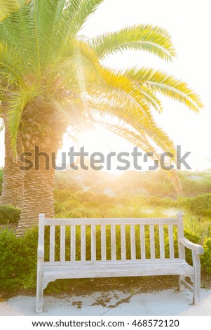 Wooden empty bench with palm trees and sun beaming through on the background