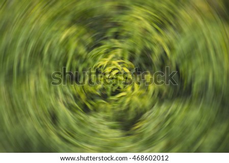 Blurred twist filter photo of green leaf, Plant out of focus, Natural background