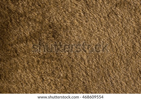 Brown fur background