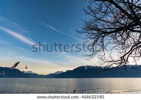 Evening lakeside sunrise to sunset at  Switzerland .