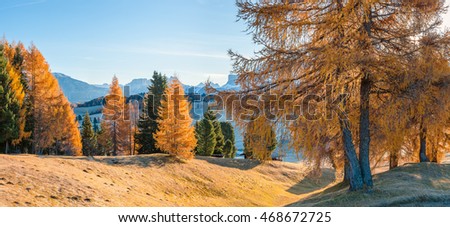 Fine autumn landscape with mountains and colorful trees