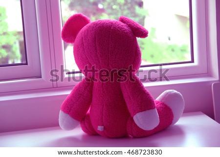 back of pink teddy doll sitting and watching to outside from windows background 
