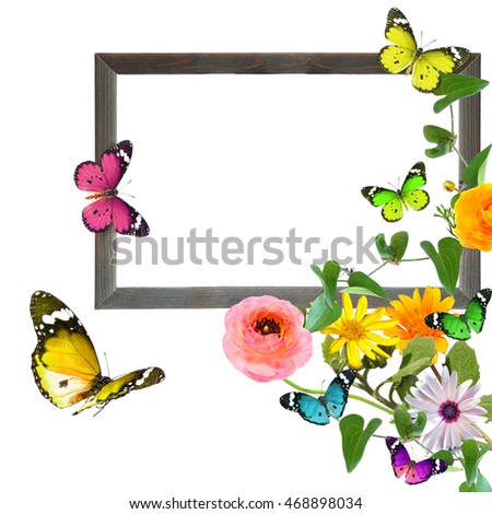 Colorful flowers and butterflies with blank wooden frame (copy space for photo, picture or text). Wildlife and art. Isolated on white