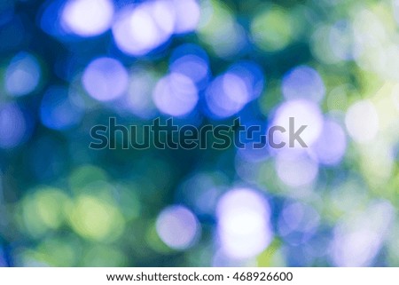 Forest bokeh background. Natural forest- blurred photo.