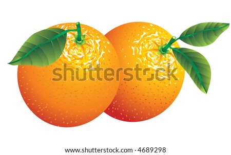 Raster version of vector image of two oranges