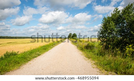 simple country road in summer at countryside with trees around