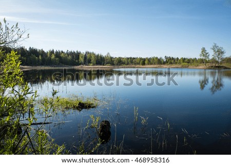 calm river in forest with reflections and trees on both sides of the stream