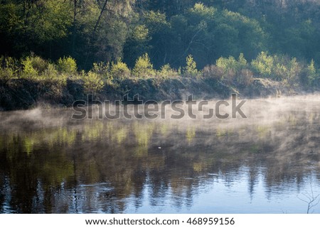 foggy morning on the river in forest with reflections and trees on both sides of the stream