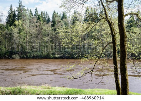 beautiful river in forest with reflections and trees on both sides of the stream