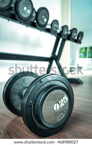 Dumbbells in the Gym Training
