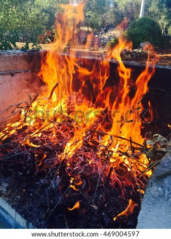 a barbecue with friends one summer evening in Puglia, in Salento, Italy .Fuoco for grilled meat and lots of beer