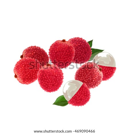 lychee. lychee vector illustration. lychee fruit pattern.