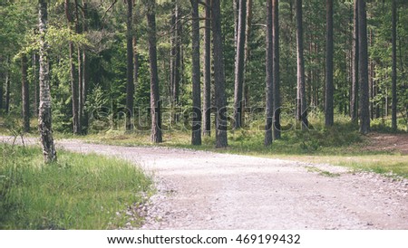 simple country road in summer at countryside with trees around - vintage film effect
