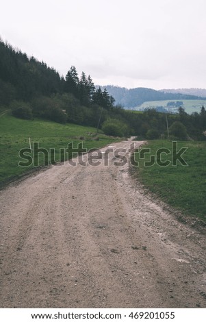 simple country road in summer at countryside with trees around - vintage film effect
