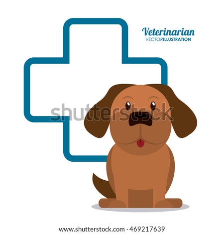 dog cartoon cross shape veterinarian pet clinic icon, vector illustration