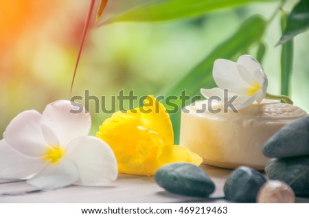 Spa still life with soap, stone , flower and shell with nature background, spa concept