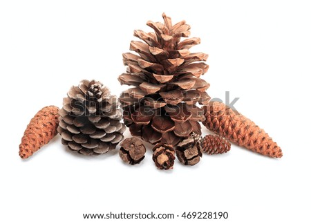 Some different cones isolated on white background