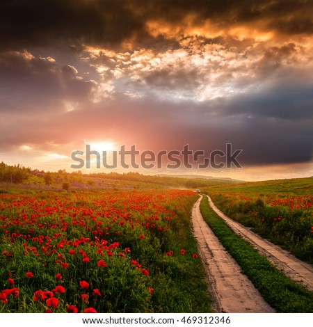  fantastic rural landscape. stormy clouds over the road in field. flowering hills with poppies. dramatic evening scene. creative image.