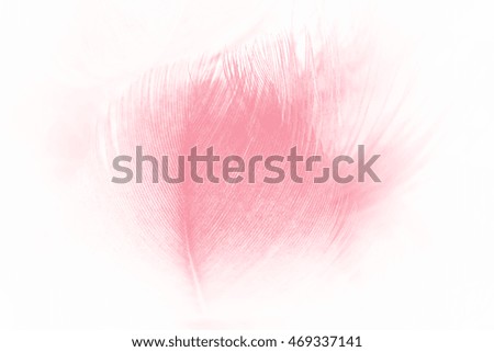 Coral Pink vintage color trends feather texture background