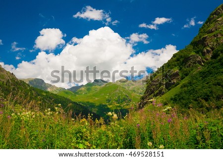 Beautiful amazing day summer in mountains. Northern country Russia Caucasus wilderness. Inspiring leisure. Sunny day and blue sky.  Green grass and flowers. 