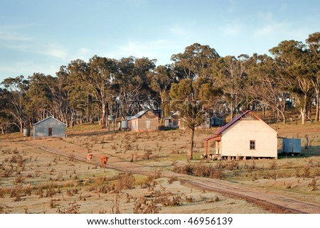 great image of the farm at early morning Royalty-Free Stock Photo #46956139