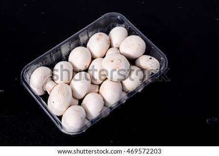 Photo Picture of  Fresh White Mushroom Food Texture Background