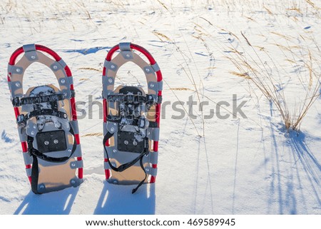 a pair of snowshoes in snow field