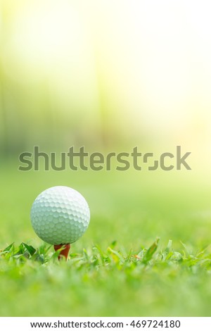 Close-up of Golf ball on Tee, Golf sport is Balance of Yin Yang. Paste the text into the space 
Right-hand Side. 