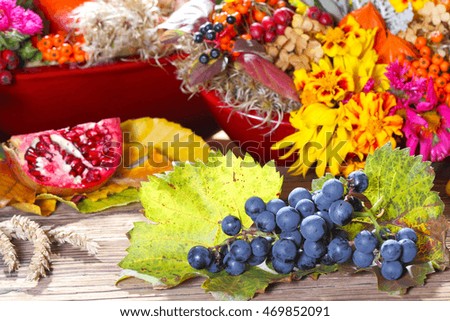 Grape, pomegranate, fall decoration