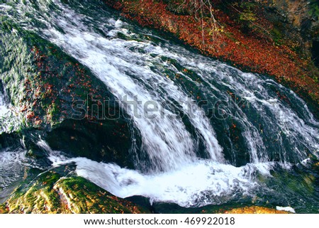 lush mountain water in autumn