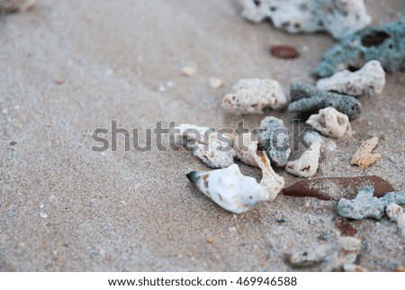 Shells on the seaside at koh kham,Trat,Thailand