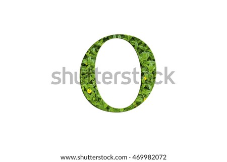green number background

