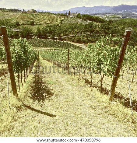 Hill of Tuscany with Vineyard in the Chianti Region, Vintage Style Toned Picture