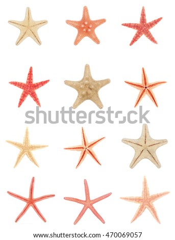 version starfish isolated on white background