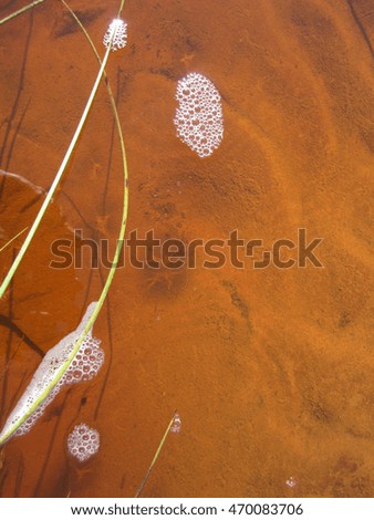 Floating bubbles on clear brackish red water which reflect on the sandy bottom