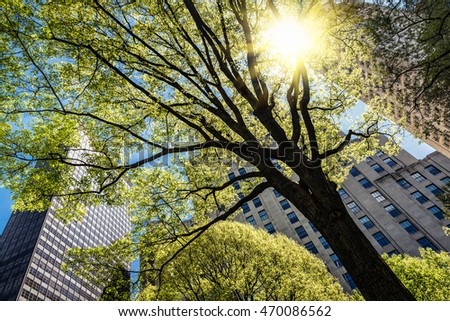 View of the skyscrapers of Manhattan through the trees on Madison Square Park in New York City Royalty-Free Stock Photo #470086562