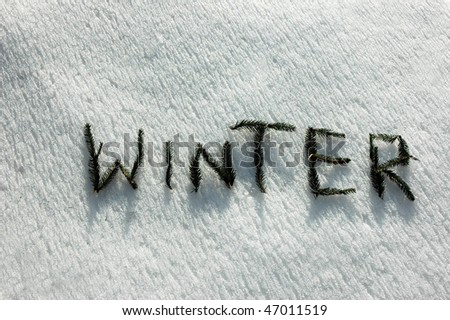 W I N T E R  written  with twigs of the spruce on snow