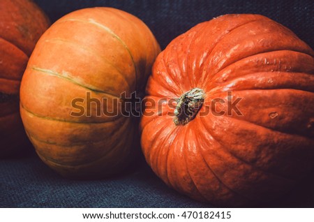 Assortment of group orange vegetables pumpkins on dark background. Fall wallpaper, autumn concept. Picture for your design food blog photo.