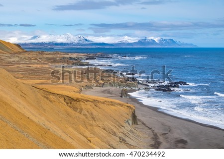 Icelandic coast

