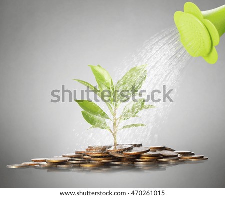 green plant on the gold coins 