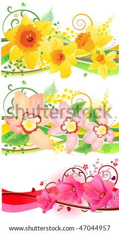 Three beautiful floral elements with daffodils,  tulips, and orchids